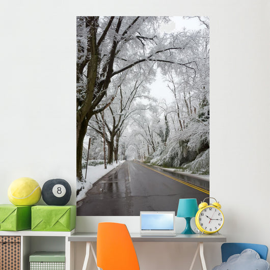 Winter in Washington DC Wall Mural
