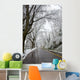 Winter in Washington DC Wall Mural