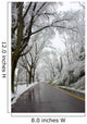 Winter in Washington DC Wall Mural