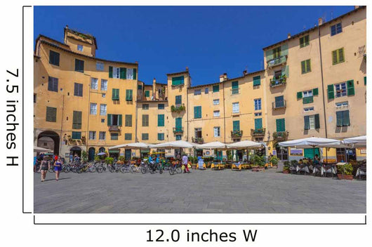 Oval City Square Lucca Wall Decal
