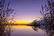 Silhouette Reed with Serene Wall Decal