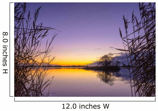 Silhouette Reed with Serene Wall Decal