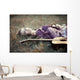 hippie girl guitar Wall Mural