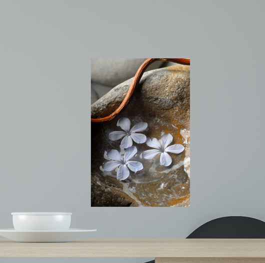 Zen 2 Wall Decal