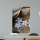 Zen 2 Wall Decal