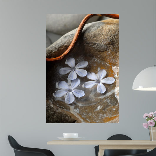 Zen 2 Wall Decal
