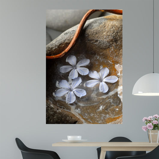Zen 2 Wall Decal