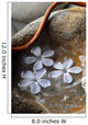 Zen 2 Wall Decal