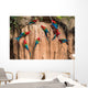 macaws Amazon jungle Wall Mural