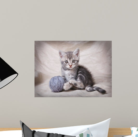 Gray Kitten With Ball Wall Decal
