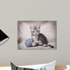 Gray Kitten With Ball Wall Decal