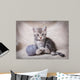 gray kitten with ball Wall Mural