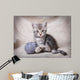 gray kitten with ball Wall Mural