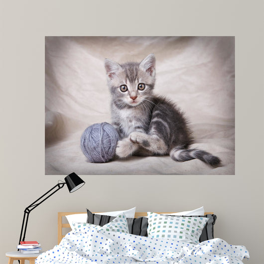 gray kitten with ball Wall Mural
