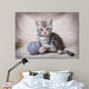 gray kitten with ball Wall Mural