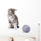 Beautiful Kitten with Gray Wall Decal