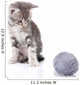 Beautiful Kitten with Gray Wall Decal
