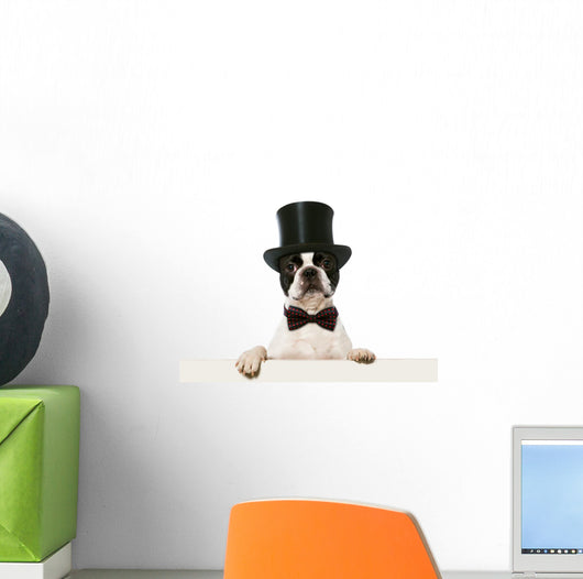 Refined French Bulldog Wall Decal