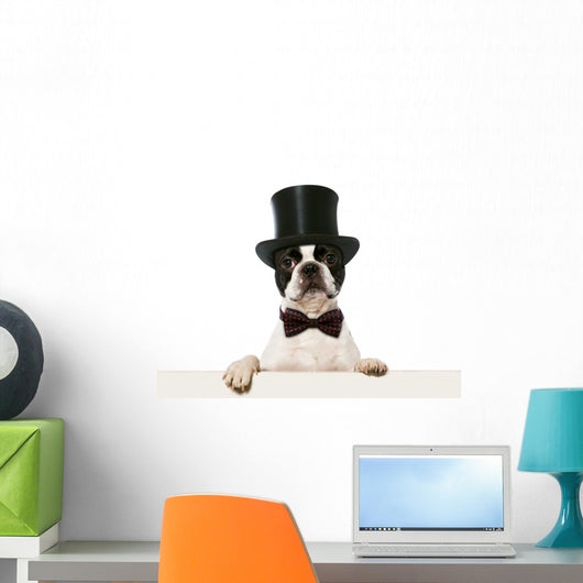 Refined French Bulldog Wall Decal