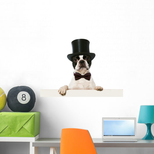 Refined French Bulldog Wall Decal