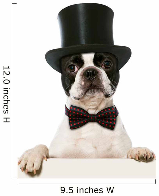 Refined French Bulldog Wall Decal