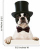 Refined French Bulldog Wall Decal