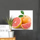 Grapefruit Wall Decal