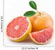 Grapefruit Wall Decal