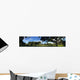 Swamp in Florida Wall Mural