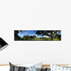 Swamp in Florida Wall Mural
