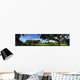 Swamp in Florida Wall Mural