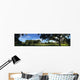 Swamp in Florida Wall Mural