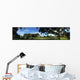Swamp in Florida Wall Mural