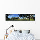 Swamp in Florida Wall Mural