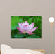 Pink Lotus Flower Wall Mural
