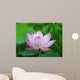 Pink Lotus Flower Wall Mural