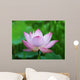 Pink Lotus Flower Wall Mural