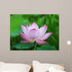 Pink Lotus Flower Wall Mural