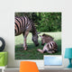 Zbres 3 Wall Decal