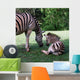 Zbres 3 Wall Decal