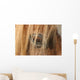 Horse - Horse Eye Wall Decal