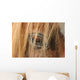 Horse - Horse Eye Wall Decal