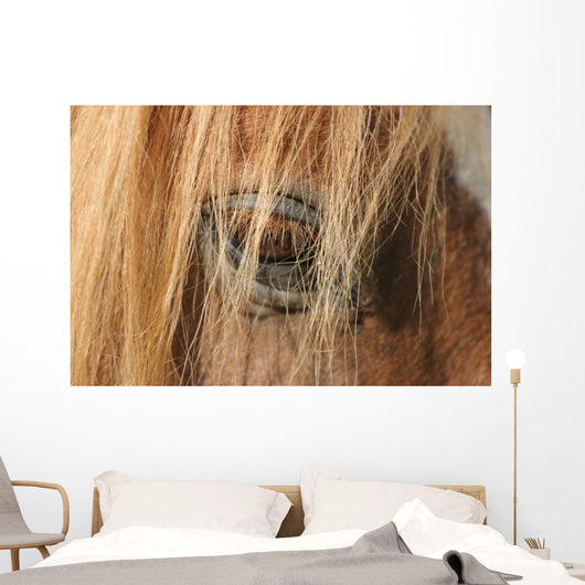 Horse - Horse Eye Wall Decal