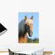 Pferd Haflinger Wall Decal