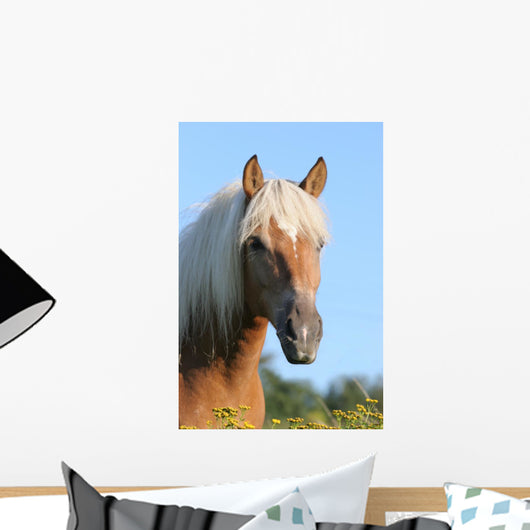 Pferd Haflinger Wall Decal