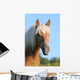 Pferd Haflinger Wall Decal