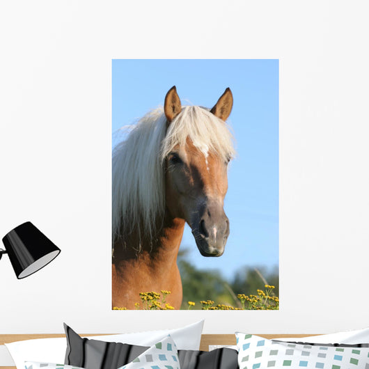 Pferd Haflinger Wall Decal