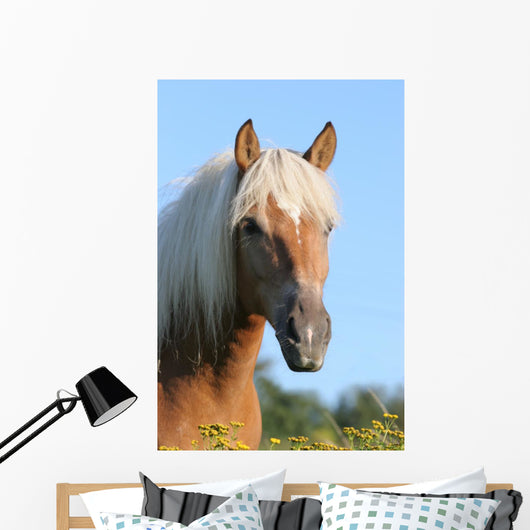 Pferd Haflinger Wall Decal