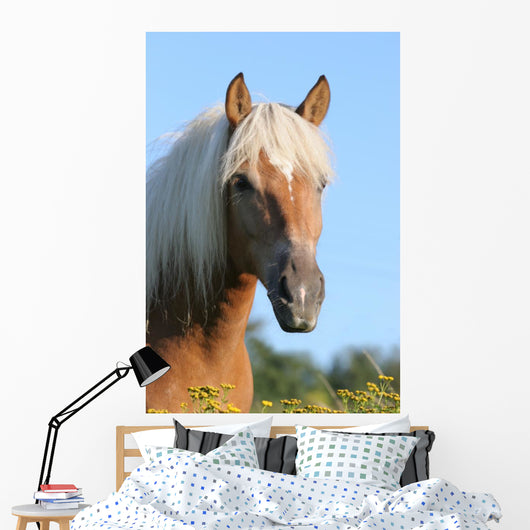 Pferd Haflinger Wall Decal