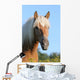Pferd Haflinger Wall Decal